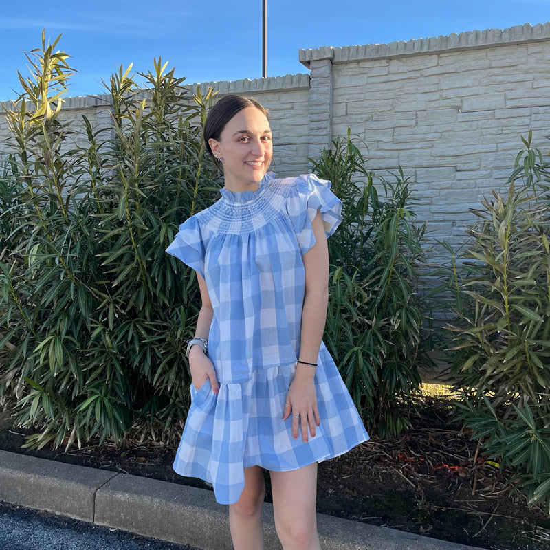 Gingham Embroidered Mini Dress