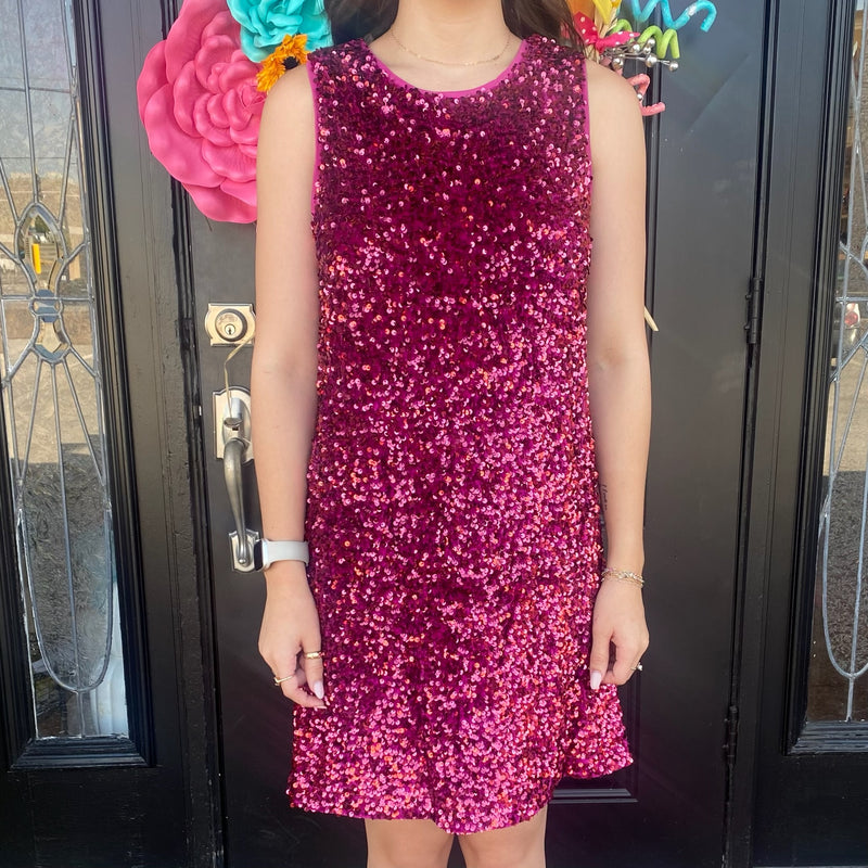 The Ruby Sleeveless Sequin Dress