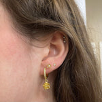 Rosey Earrings